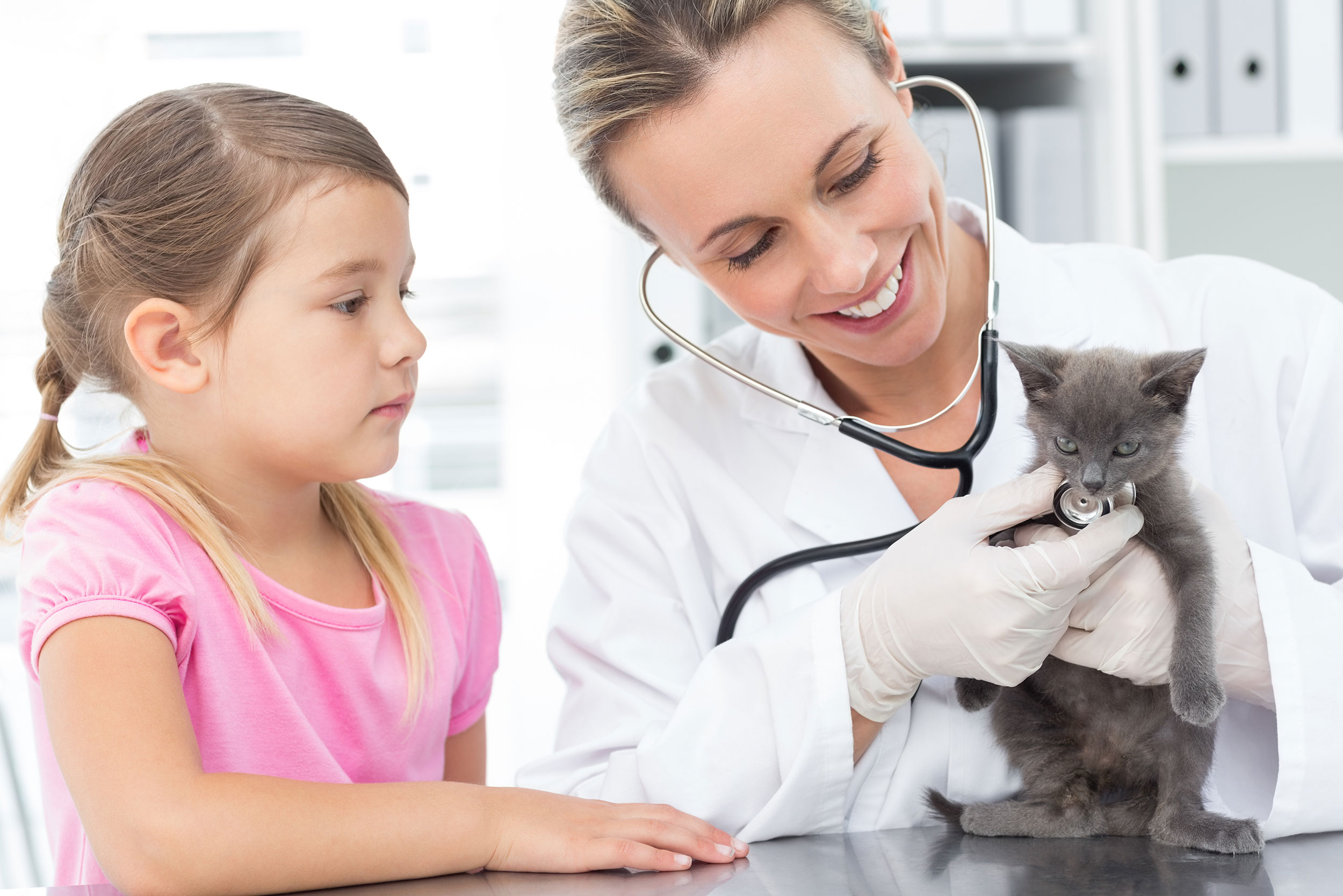 Child with Kitten Getting Exsam